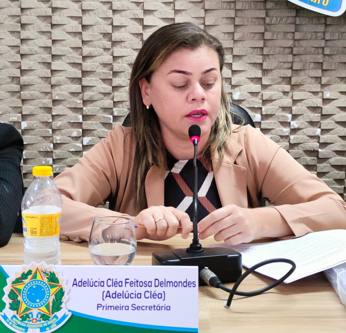 Adelúcia Cléa pede ao governo municipal a construção de lombadas e sinalizações em Barra do São Pedro e Cara Branca