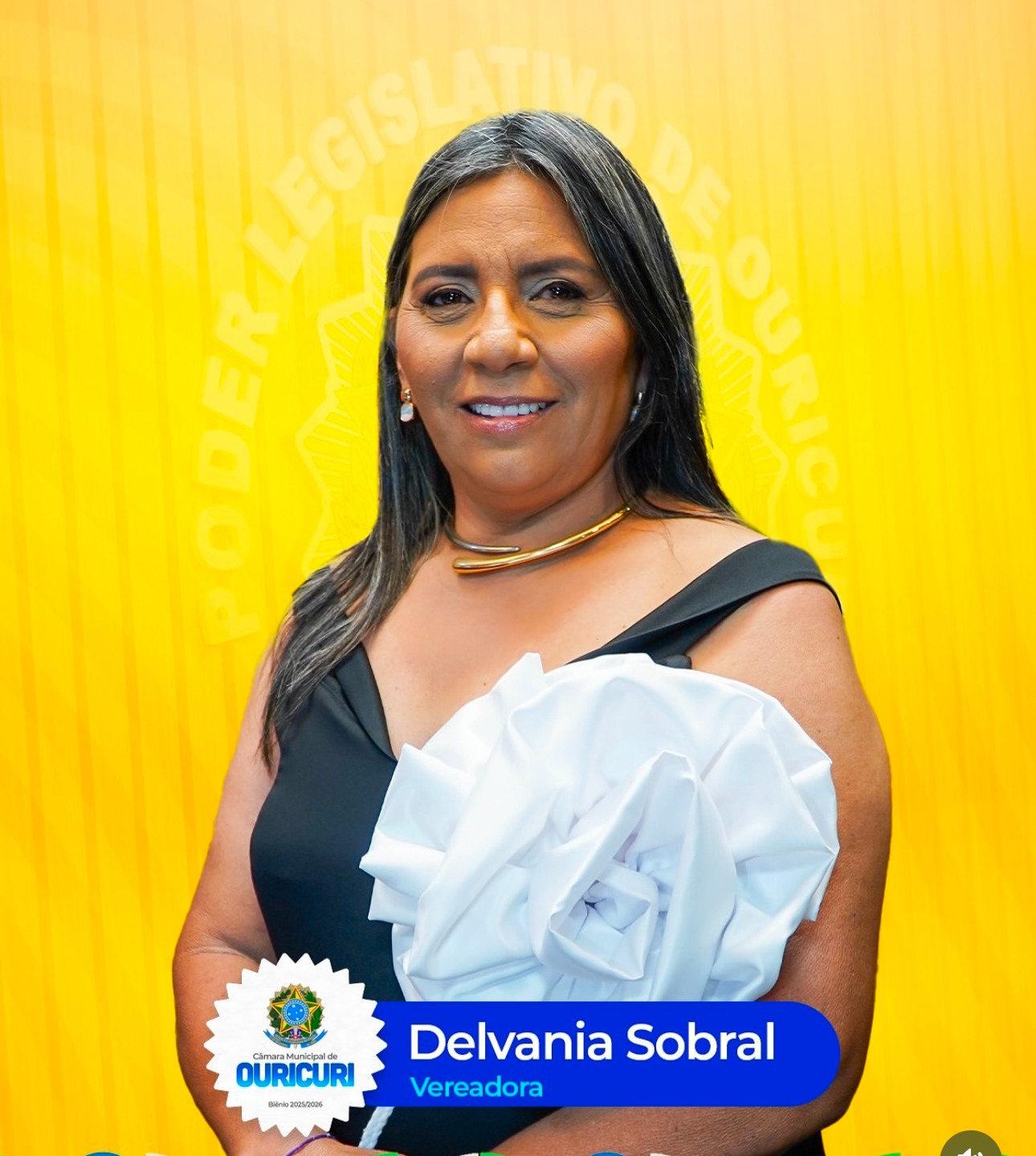 Verª Delvania Sobral propõem a criação de uma equipe de prontidão do CAPS em Ouricuri