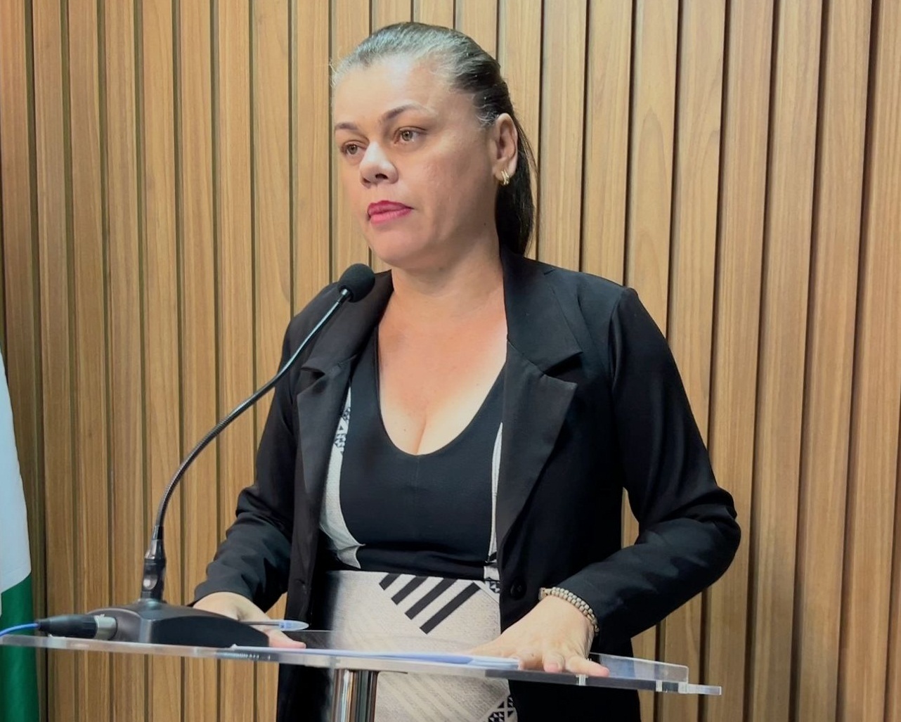 Vereadora Adelucia Cléa solicita mutirão para emissão de RG nos Povoados